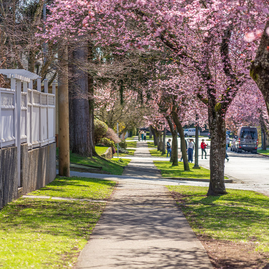 Oakville Real Estate - Campbell Wedlake Team